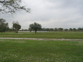 Enlarge photo 35
