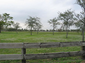 Enlarge photo 34