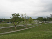 Enlarge photo 45