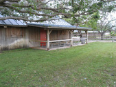 Enlarge photo 53