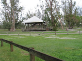 Enlarge photo 59