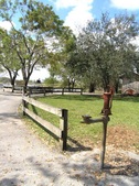 Enlarge photo 27