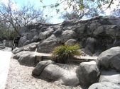 Enlarge photo 31