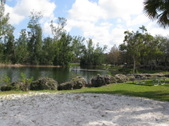 Enlarge photo 61