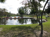 Enlarge photo 62