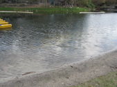 Enlarge photo 64