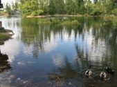 Enlarge photo 73