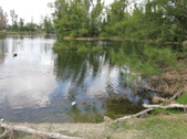 Enlarge photo 74