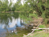 Enlarge photo 76