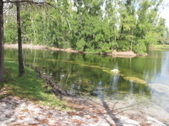 Enlarge photo 77