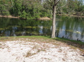 Enlarge photo 79