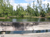 Enlarge photo 78
