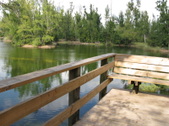 Enlarge photo 81