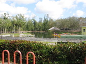 Enlarge photo 84