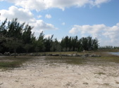 Enlarge photo 92
