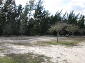 Enlarge photo 93