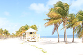 Enlarge photo 116