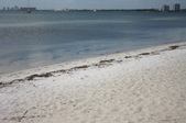 Enlarge photo 47