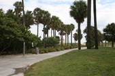 Enlarge photo 85