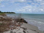 Enlarge photo 17