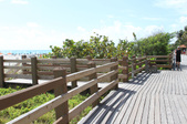 Enlarge photo 80
