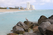 Enlarge photo 37