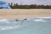 Enlarge photo 42