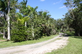 Enlarge photo 31