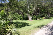 Enlarge photo 35