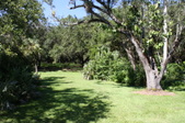 Enlarge photo 36