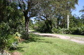 Enlarge photo 38