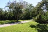 Enlarge photo 40