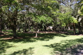 Enlarge photo 41