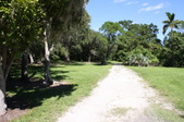 Enlarge photo 44