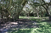 Enlarge photo 45