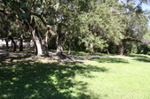 Enlarge photo 46