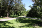 Enlarge photo 48