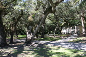 Enlarge photo 49