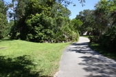 Enlarge photo 50