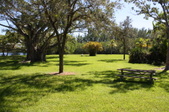 Enlarge photo 55