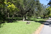 Enlarge photo 57