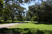 Enlarge photo 56