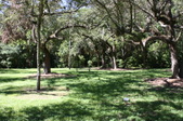 Enlarge photo 58