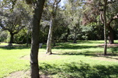 Enlarge photo 59