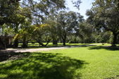 Enlarge photo 60