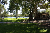 Enlarge photo 61
