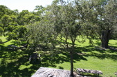 Enlarge photo 73