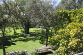 Enlarge photo 76