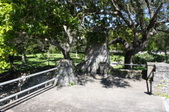 Enlarge photo 75