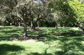 Enlarge photo 77